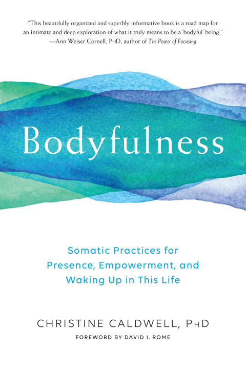 Cover image for book Bodyfulness