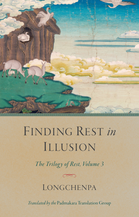 Cover image for book Finding Rest in Illusion