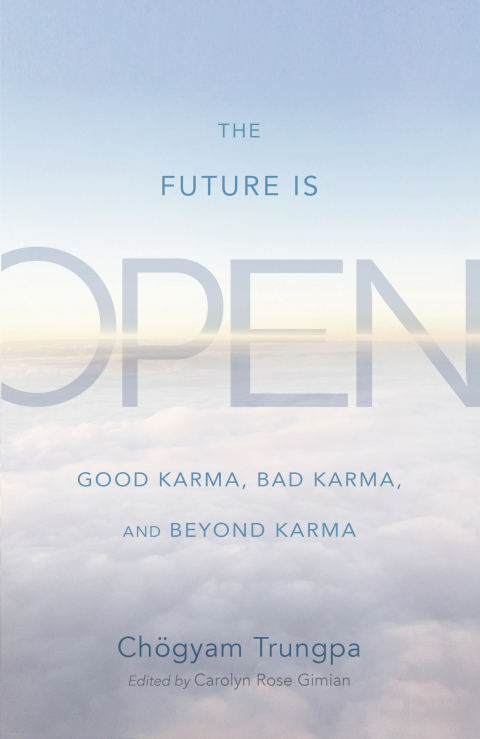 Cover image for book The Future Is Open