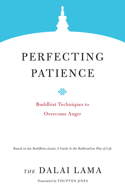 Cover image for book Perfecting Patience