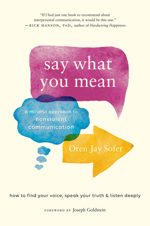 Cover image for book Say What You Mean