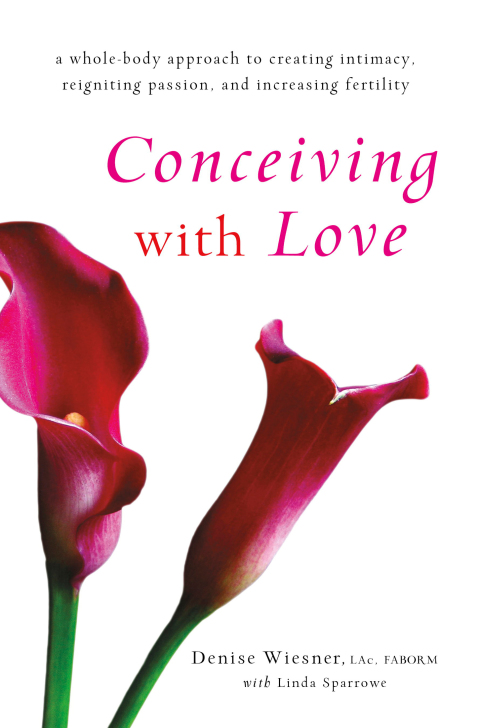 Cover image for book Conceiving with Love