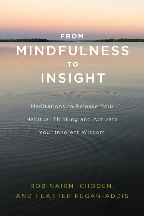 Cover image for book From Mindfulness to Insight