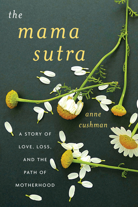 Cover image for book The Mama Sutra