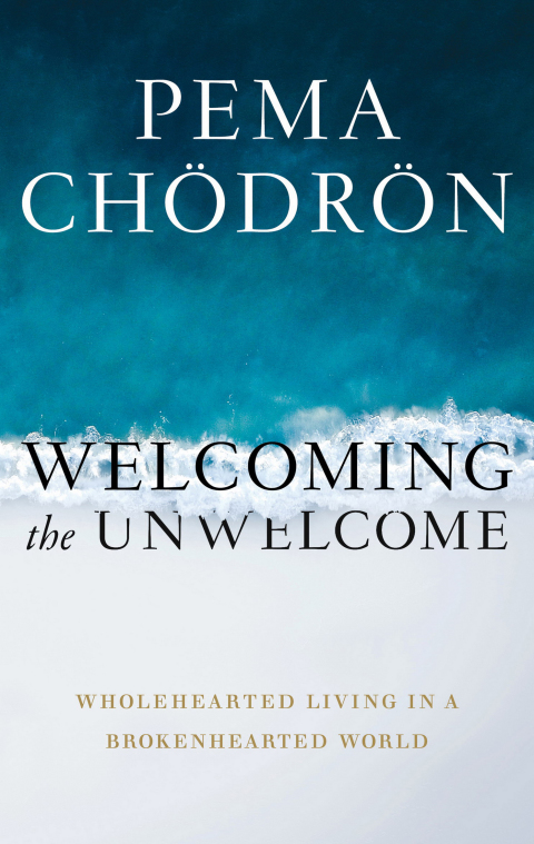 Cover image for book Welcoming the Unwelcome