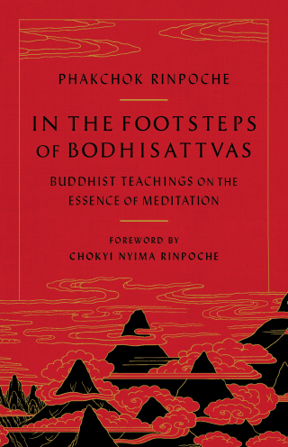 In the Footsteps of Bodhisattvas