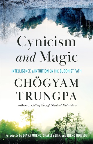 Cynicism and Magic