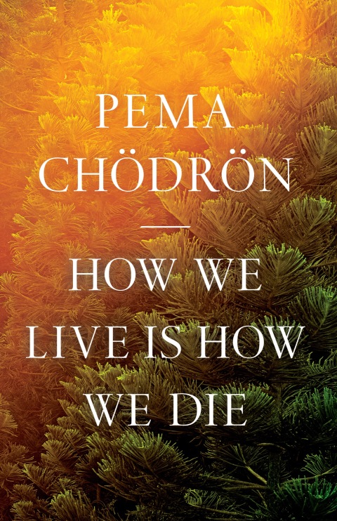 Cover image for book How We Live Is How We Die