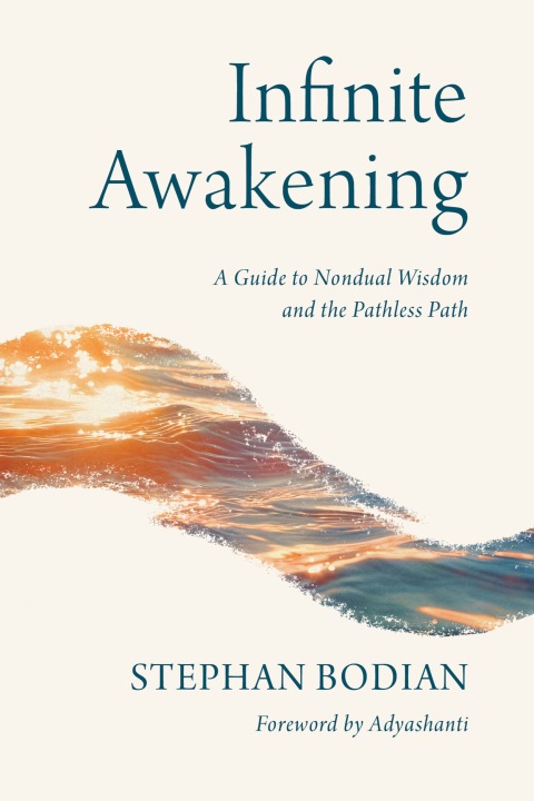 Cover image for book Infinite Awakening