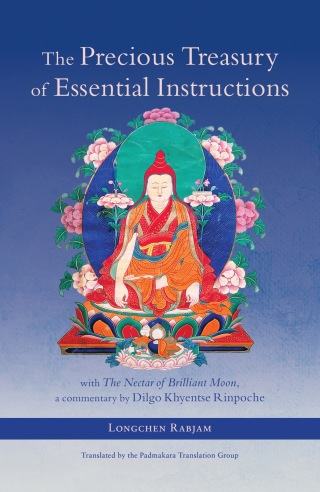 The Precious Treasury of Essential Instructions