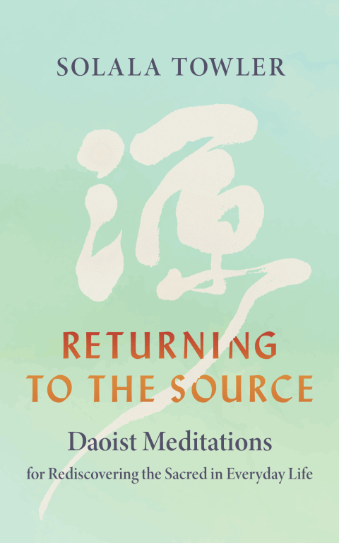 Cover image for book Returning to the Source