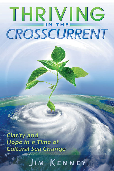 Cover image for book Thriving in the Crosscurrent