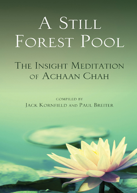 Cover image for book A Still Forest Pool
