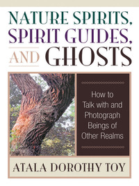 Cover image: Nature Spirits, Spirit Guides, and Ghosts 9780835609029