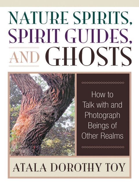 Cover image for book Nature Spirits, Spirit Guides, and Ghosts