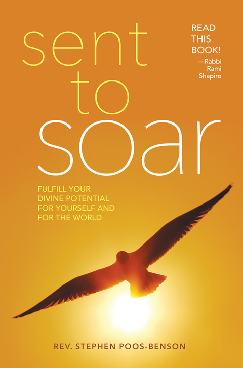 Cover image for book Sent to Soar