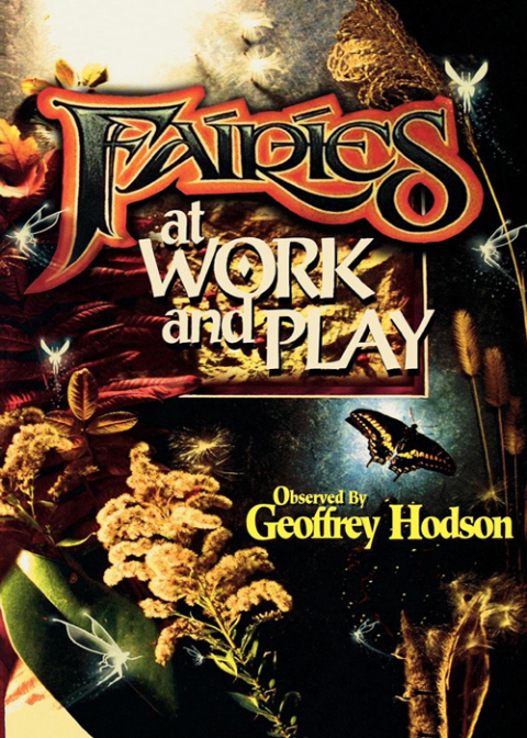 Cover image for book Fairies at Work and Play