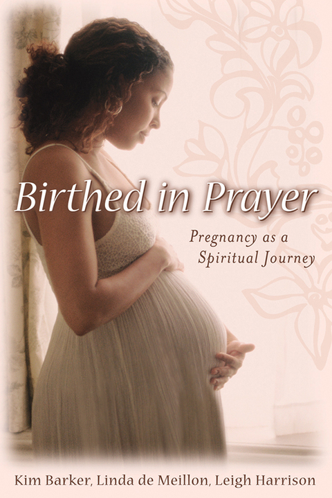 Cover image for book Birthed in Prayer