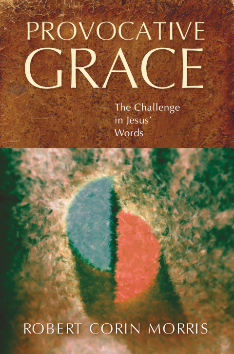 Cover image for book Provocative Grace