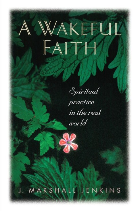 Cover image for book A Wakeful Faith