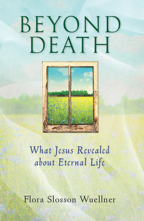 Cover image for book Beyond Death