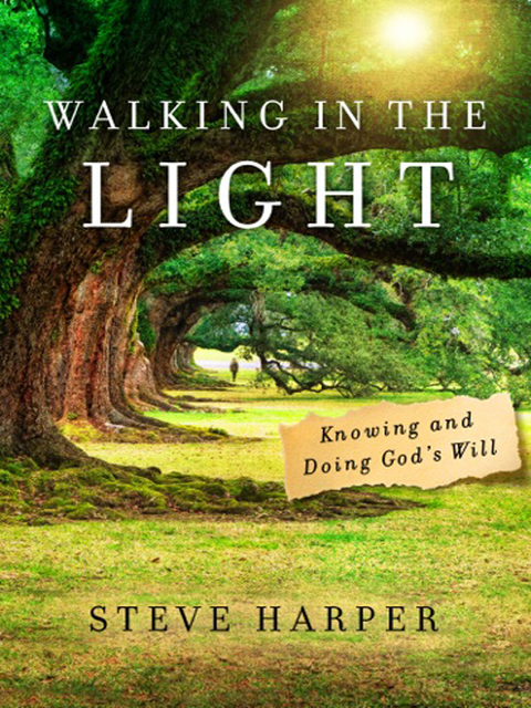 Cover image for book Walking in the Light