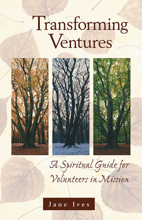 Cover image for book Transforming Ventures