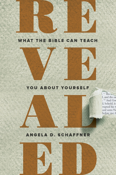 Cover image for book Revealed