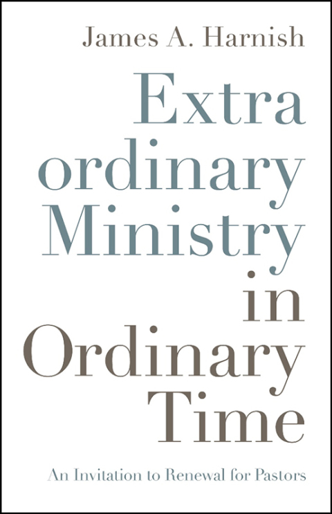 Cover image for book Extraordinary Ministry in Ordinary Time