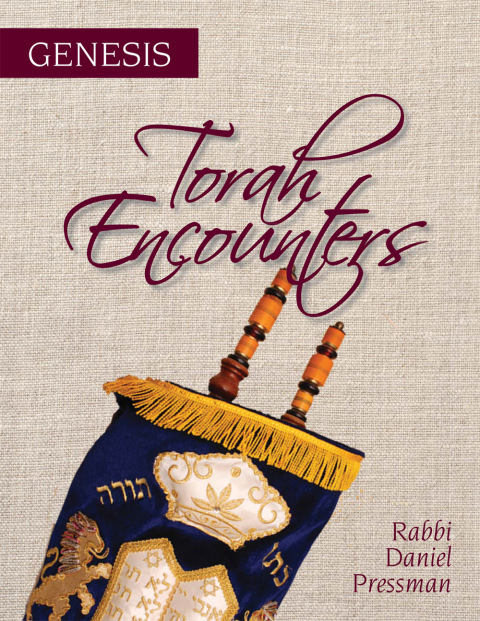 Cover image for book Torah Encounters