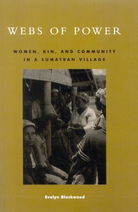 Cover image for book Webs of Power