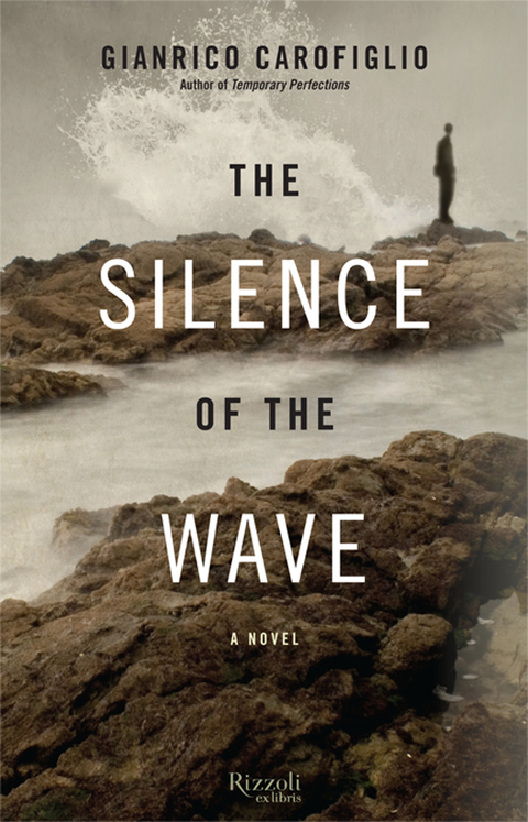 Cover image for book The Silence of the Wave