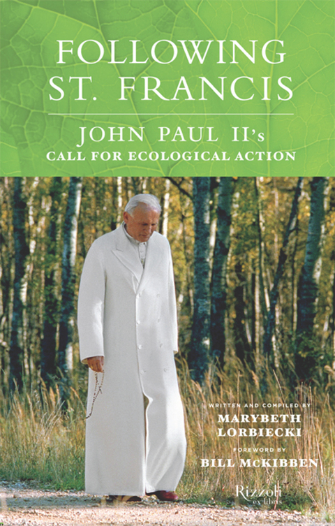 Cover image for book Following St. Francis