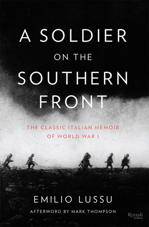 Cover image for book A Soldier on the Southern Front