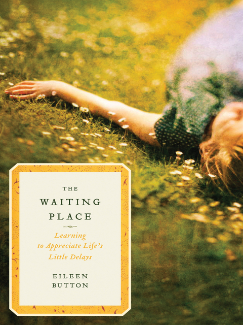 Cover image for book The Waiting Place