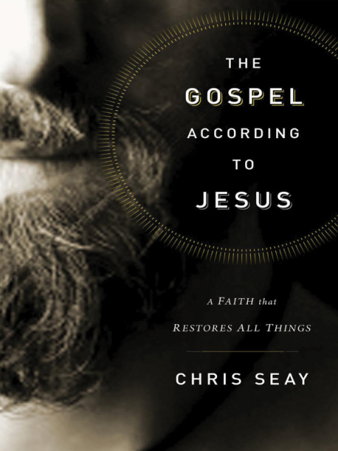 Cover image for book The Gospel According to Jesus