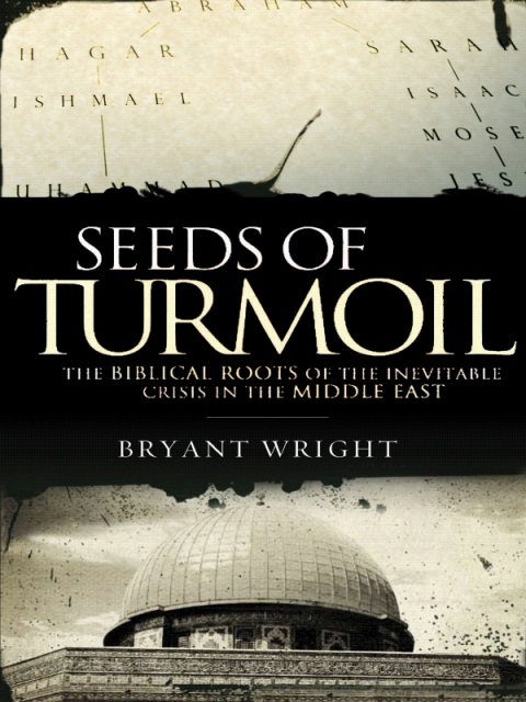 Cover image for book Seeds of Turmoil