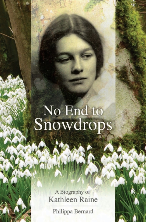Cover image for book No End to Snowdrops