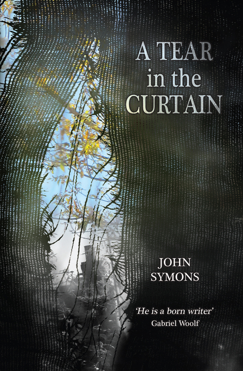 Cover image for book A Tear in the Curtain