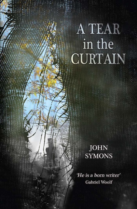 Cover image for book A Tear in the Curtain