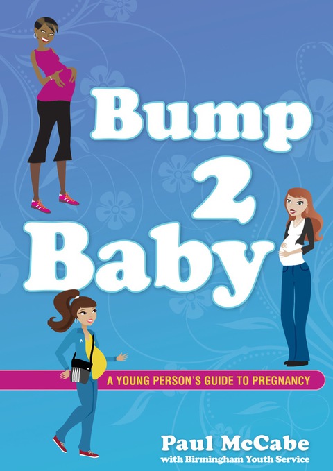 Cover image for book Bump 2 Baby