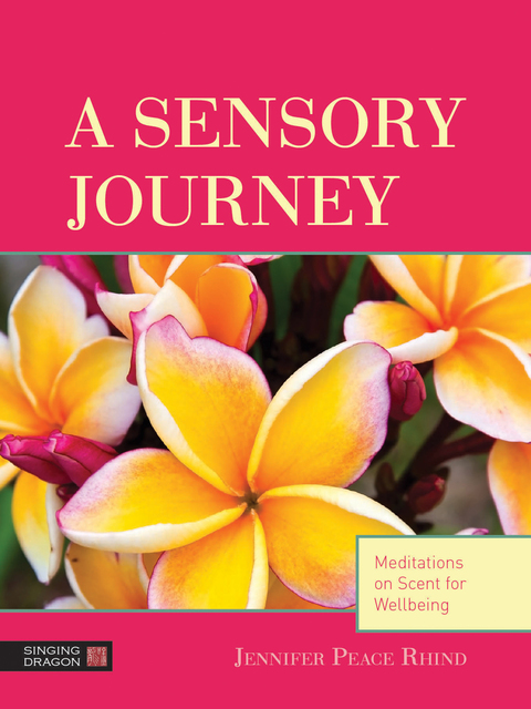 Cover image for book A Sensory Journey