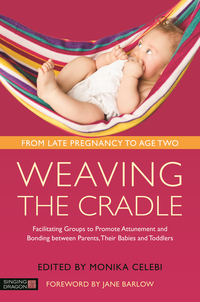 Cover image: Weaving the Cradle 9781848193116