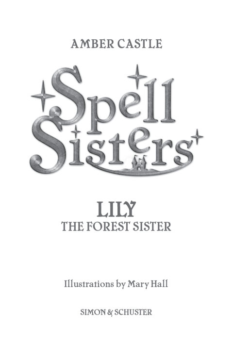 Cover image for book Spell Sisters: Lily the Forest Sister
