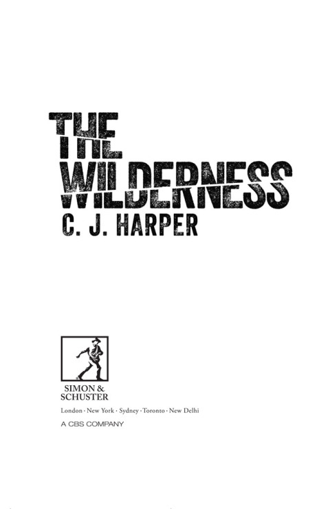 Cover image for book The Wilderness