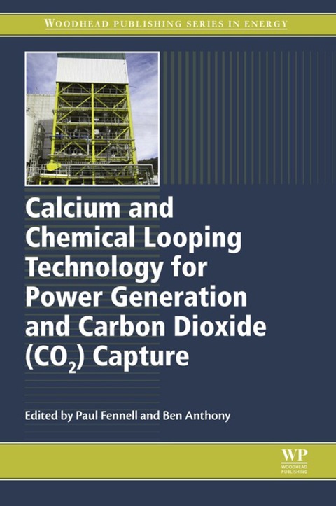 Cover image for book Calcium and Chemical Looping Technology for Power Generation and Carbon Dioxide (CO2) Capture: Solid Oxygen- and Co2-Carriers