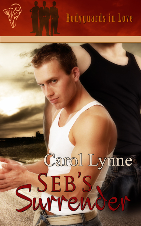 Cover image for book Seb's Surrender