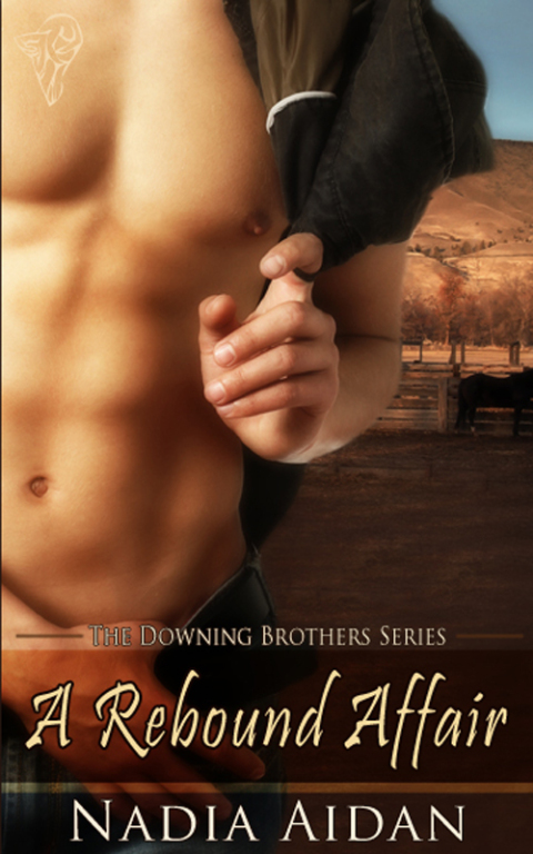 Cover image for book A Rebound Affair