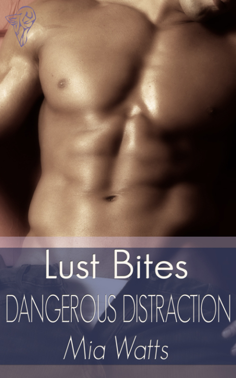 Cover image for book Dangerous Distraction