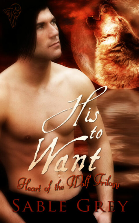 Cover image for book His to Want